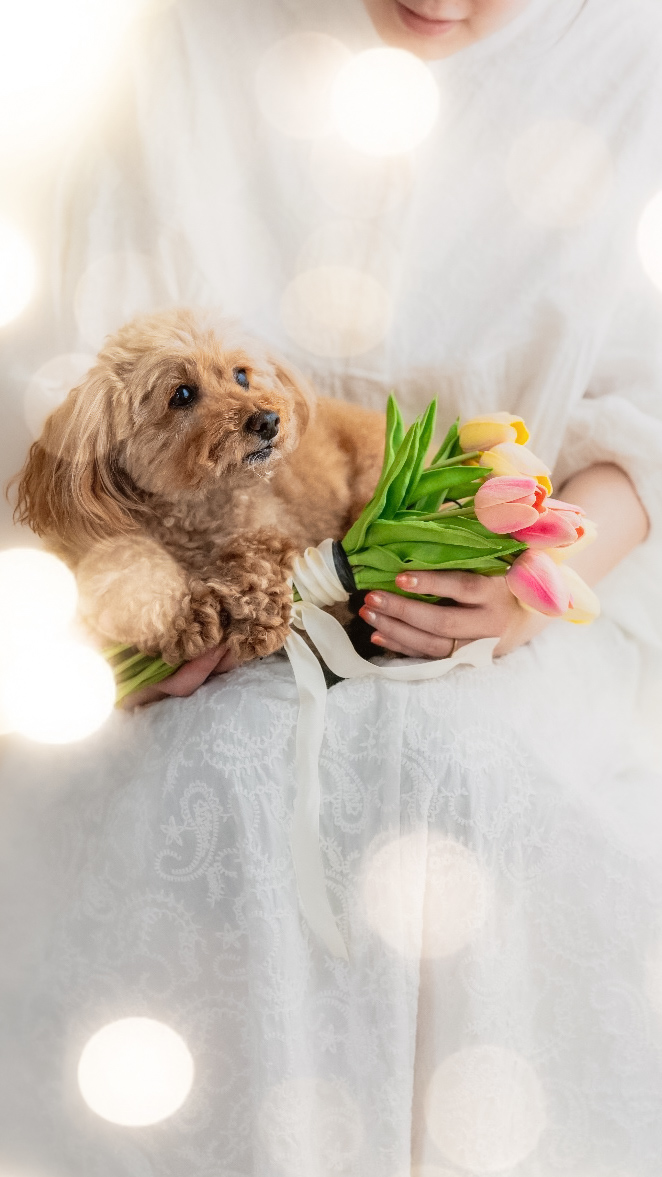 Edited with Lens Distortions v6.9.1