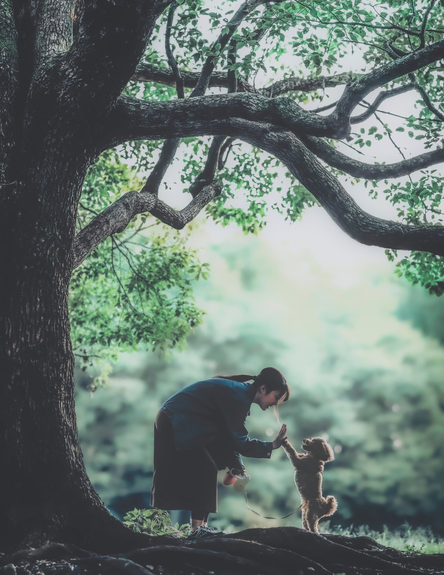 tetsu-photo-01