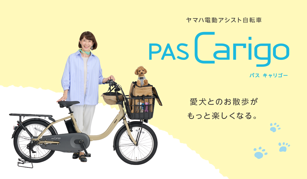 web画像